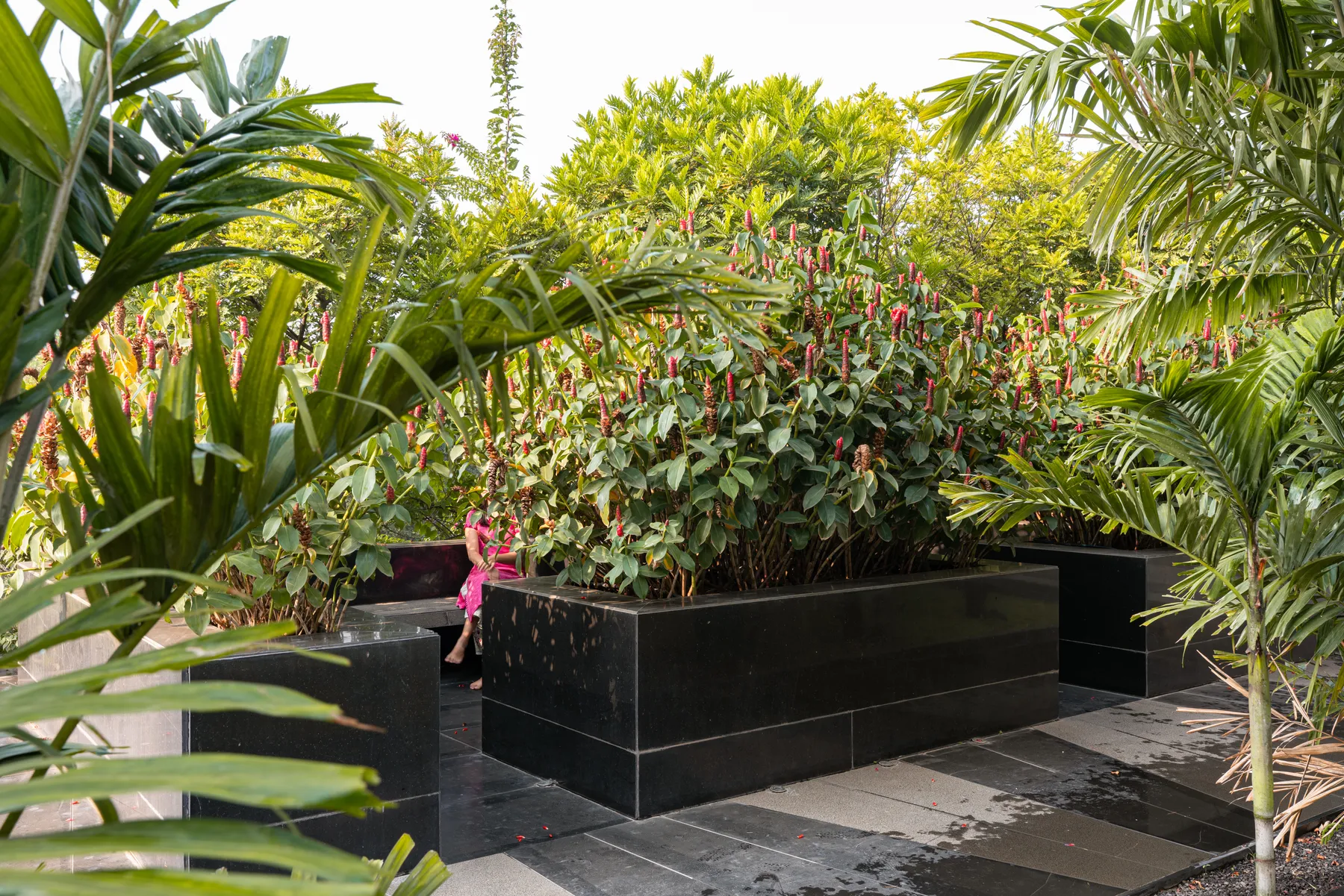 Nature's Bliss — Atelier Landschaft
