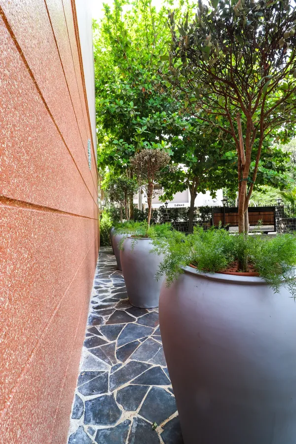 Ronak Anand Terrace