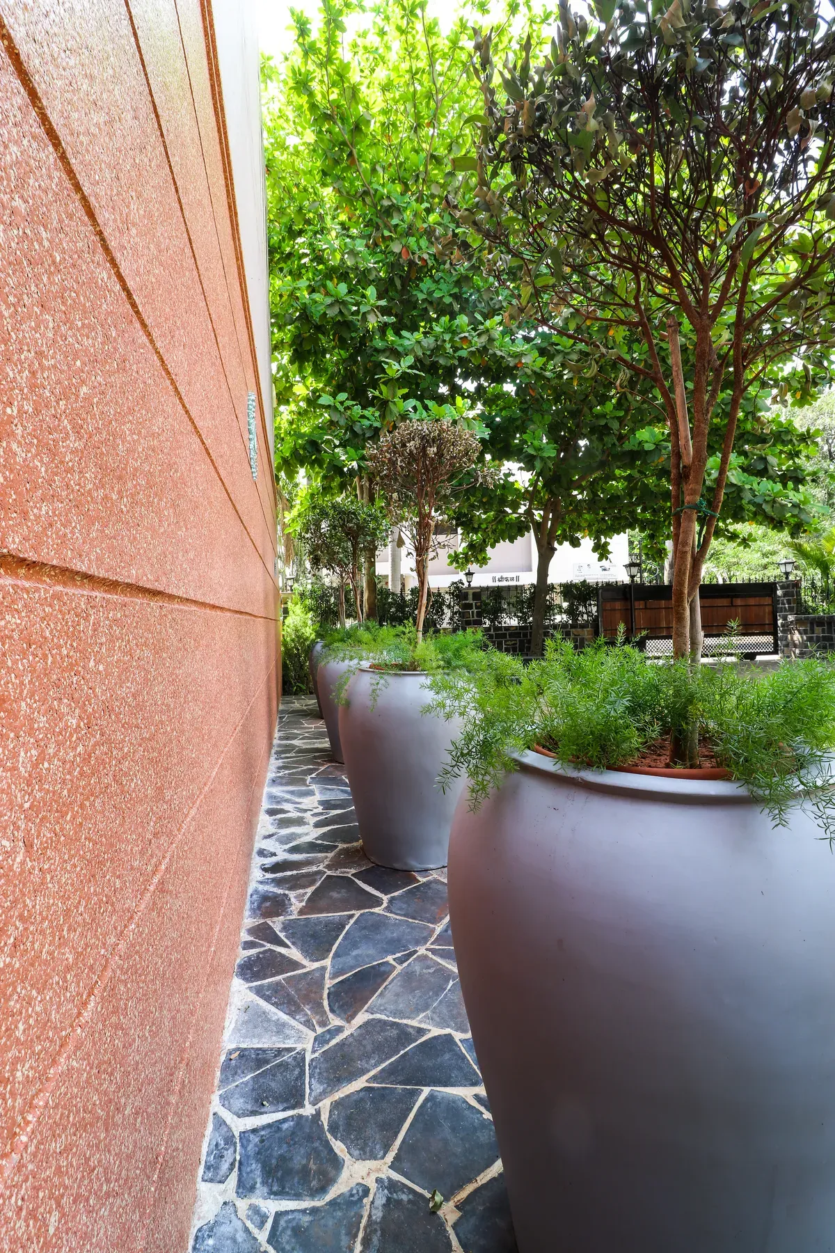 Ronak Anand Terrace