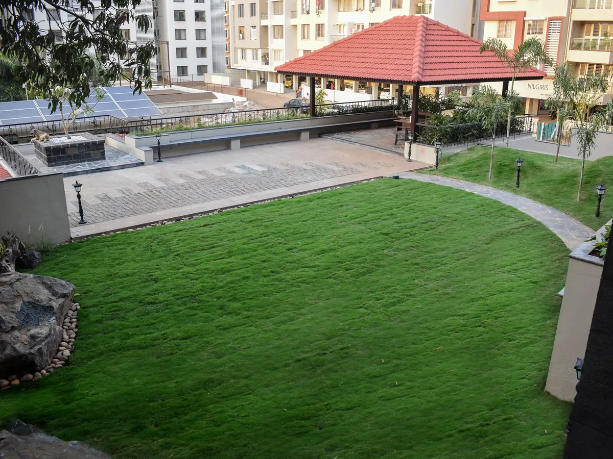 Ronak Anand Terrace